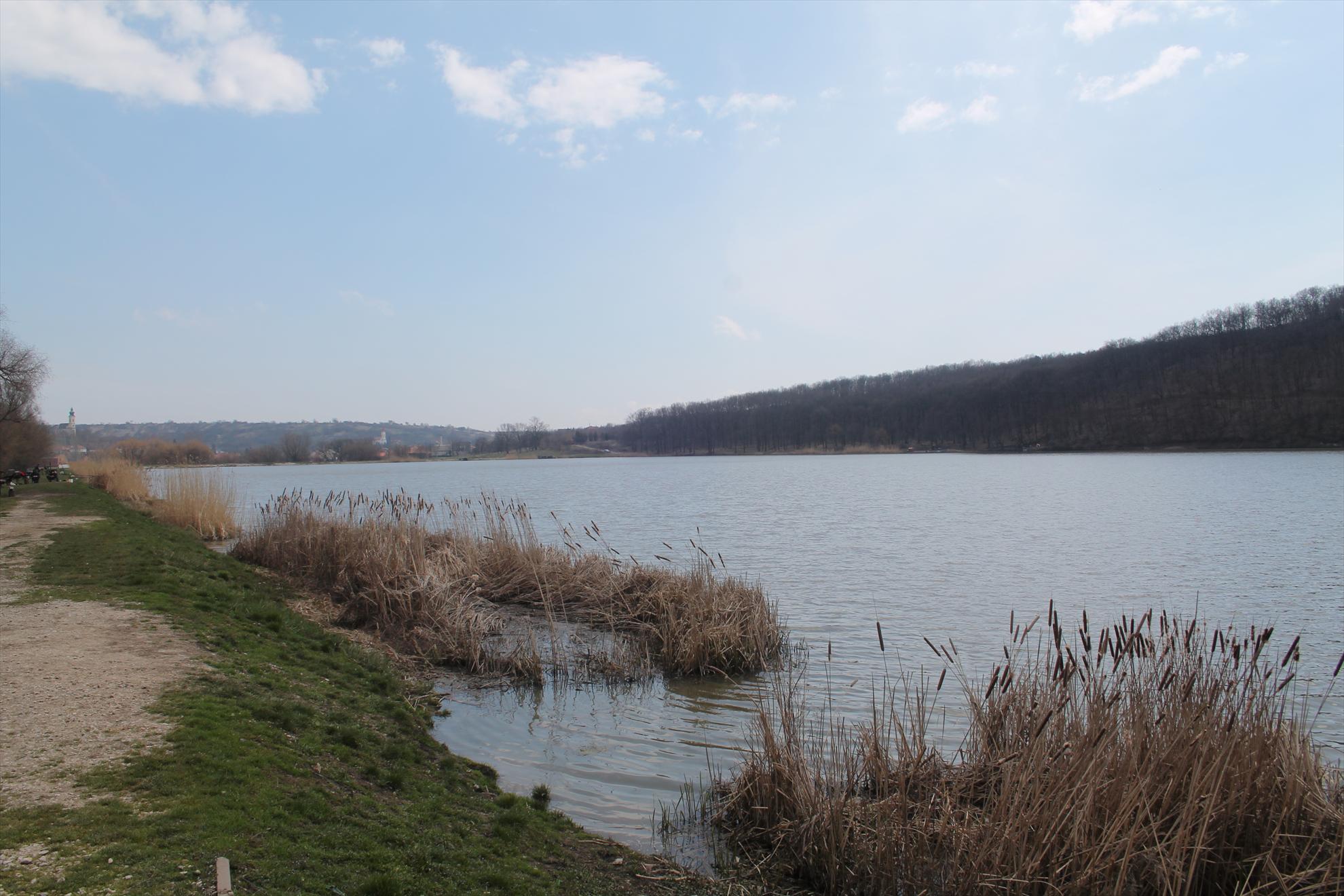 Harsany aprilie2013 - harsany-aprilie2013-250.JPG